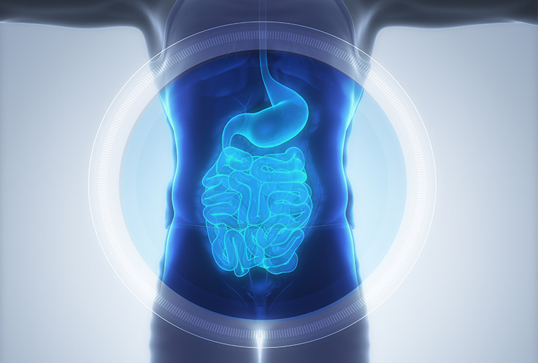 Reabilitação Intestinal
